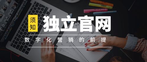 離開獨立官網談數字化營銷，無異于網絡文化經營中的“無本之木”